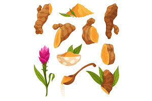 Turmeric root plant, icon set, a Food Illustration by the8monkey