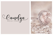 Ladies Script, a Script Font by Moly Mol (Thumbnail 2 of 7)
