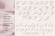 Peony procreate stamps, cliparts, a Brush Add-On by Veronika Gotovceva (Thumbnail 6 of 8)