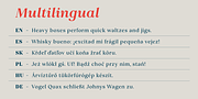 Vivala Marbod, a Serif Font by VivalaType (Thumbnail 9 of 13)