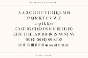 Classy Vogue - Stylish Serif, a Serif Font by Variatype (Thumbnail 15 of 16)