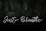 Seymore – Brush Script Font, a Script Font by Typefactoryco (Thumbnail 7 of 12)