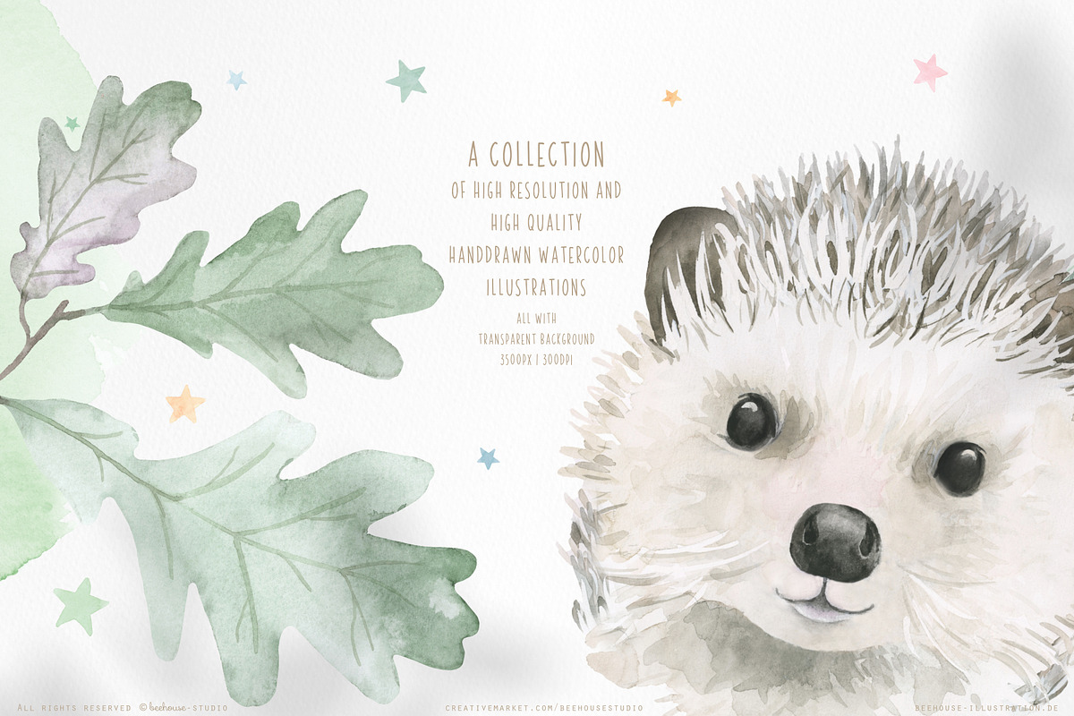 watercolor forest animal portraits, an Animal Illustration by beehouse studio (Photo 10 of 11)