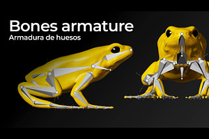 3D Arrow Frog