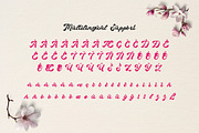 Quaty Heart - Retro Script Font, a Script Font by Dhabee (Thumbnail 18 of 18)