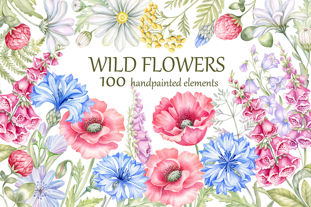 Wild flowers bundle, set Wildflowers, a Texture Illustration by MarinadeArt (Photo 1 of 8)