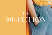Equinox Stylish Font duo & logo set, a Slab Serif Font by Studio Aurora (Thumbnail 6 of 13)