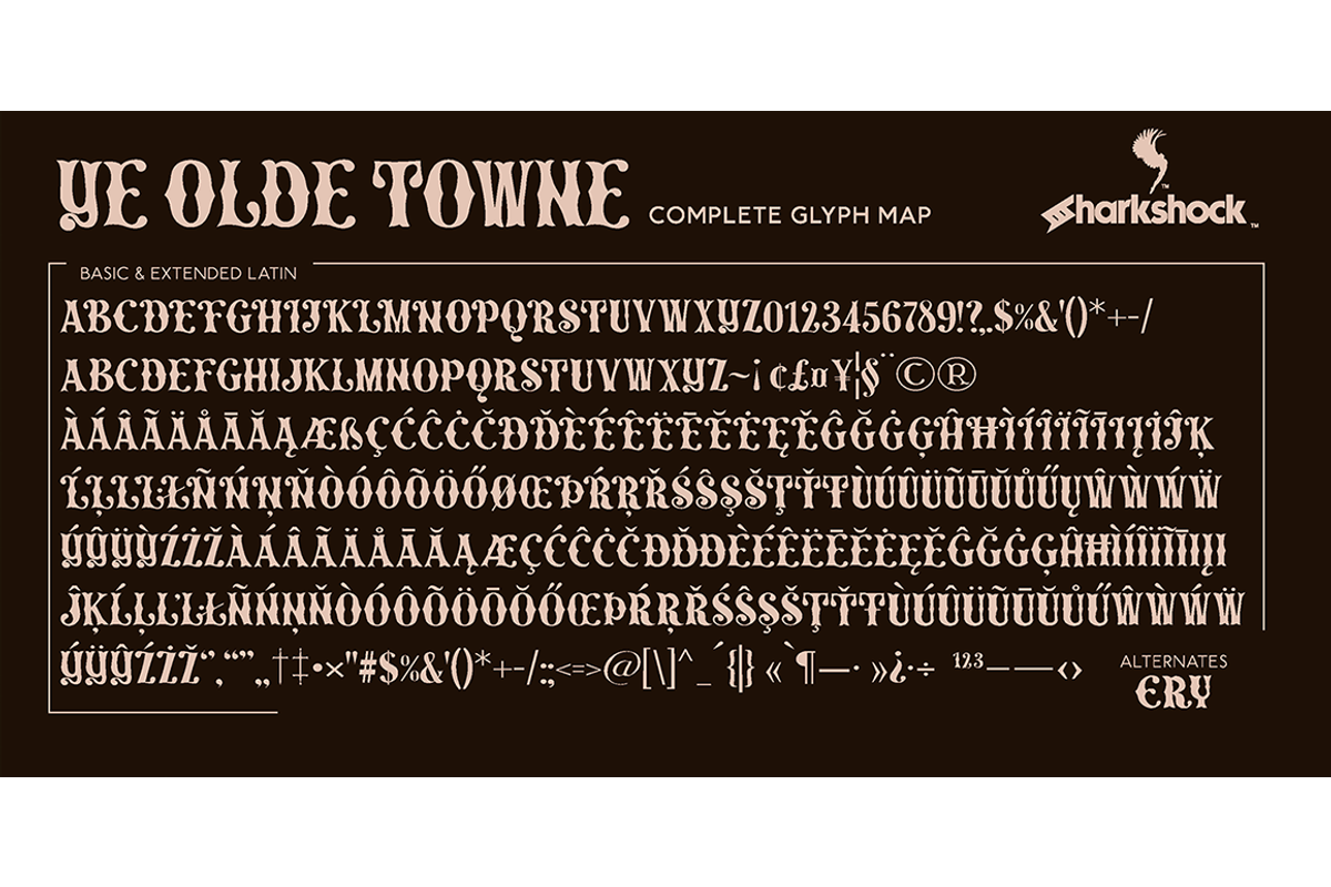 Ye Olde Towne, a Serif Font by Sharkshock (Photo 2 of 5)