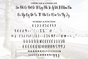 Winter Charming | Script Font, a Handwritten Font by Scratchones (Thumbnail 7 of 9)