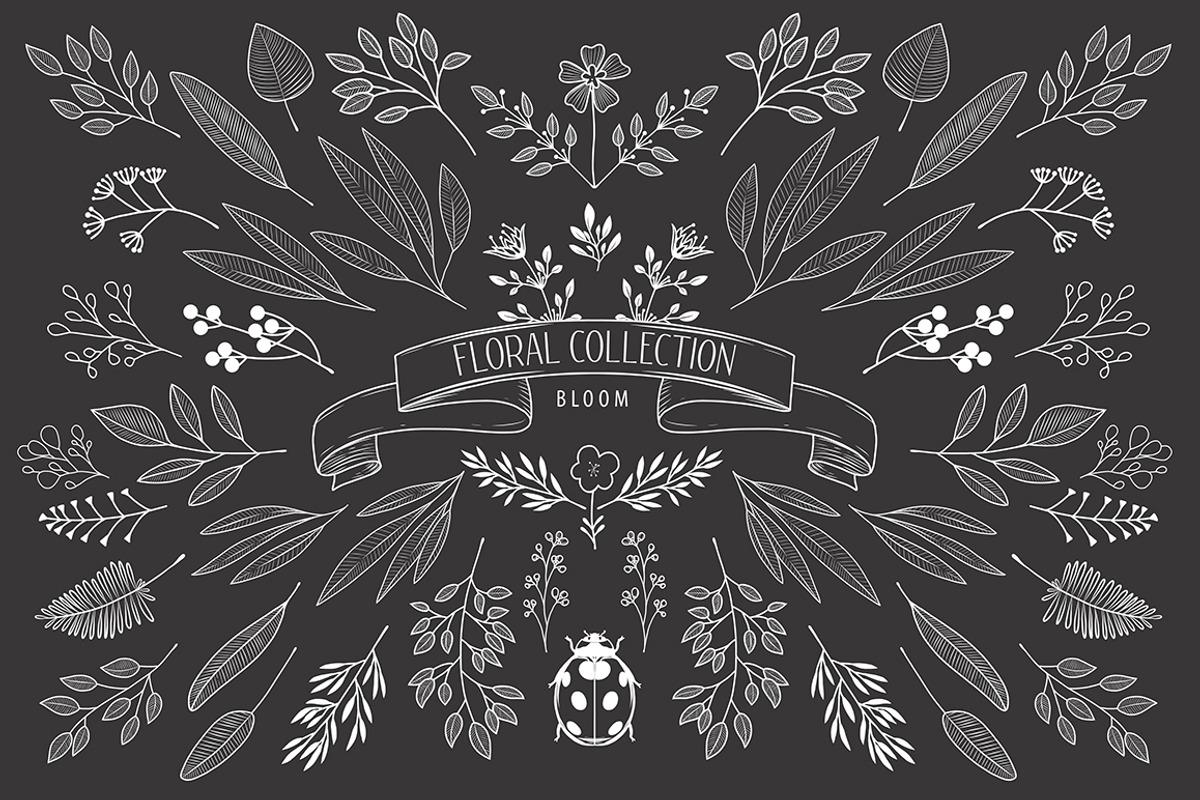 Bloom Сollection, a Decorative Illustration by Luba Vega (Photo 4 of 6)