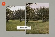 8 Jardin Lightroom Presets, a Preset Add-On by SHOOM HOUSE (Thumbnail 12 of 15)