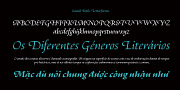 Escritura, a Serif Font by Vanarchiv (Thumbnail 3 of 4)