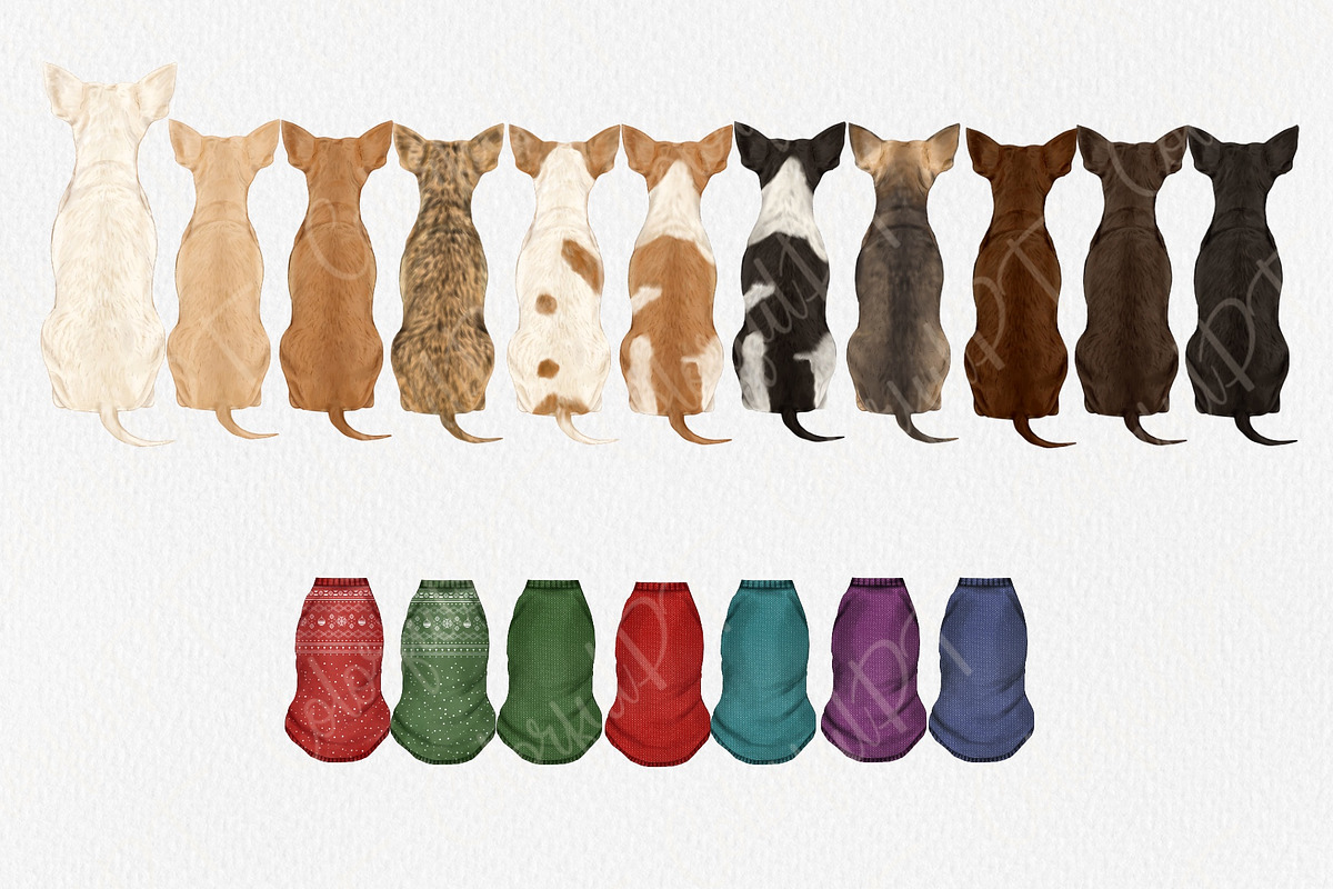 Watercolor Chihuauha png Clipart., an Animal Illustration by ColorfulPT (Photo 3 of 6)