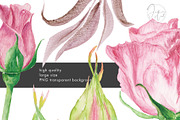 Secret Garden / Watercolor&Graphite, an Illustration by Jeanina Vlad (Thumbnail 8 of 20)