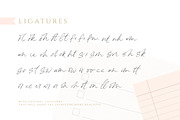 Hollowsky - Signature Script, a Script Font by Letterhend Studio (Thumbnail 8 of 9)