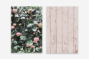 Lifestyle Bundles Collection 3, a Photo by Floral Deco (Thumbnail 43 of 48)