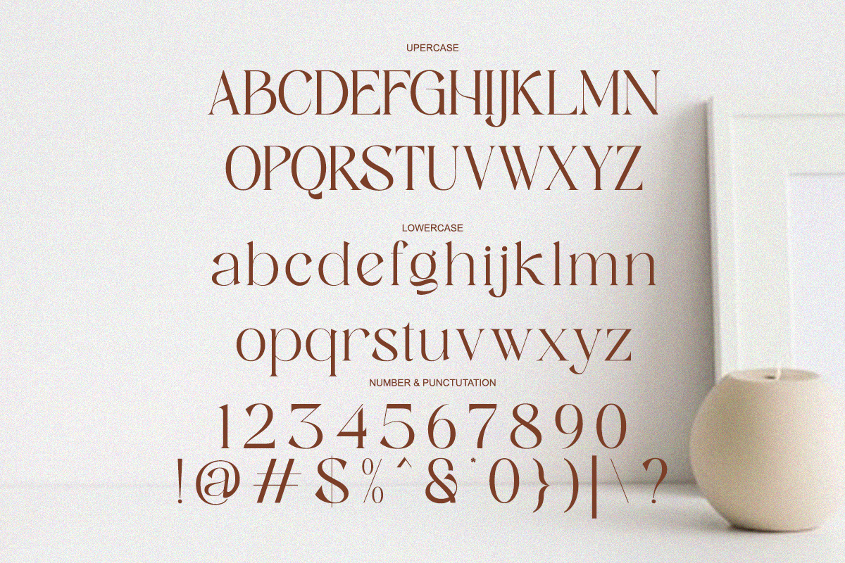 Sassy Born - Modern Elegant Font, a Serif Font by Qweera Studio (Photo 11 of 12)