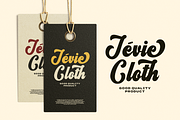 Hamilton - Bold Script Font, a Script Font by Mozatype (Thumbnail 4 of 10)
