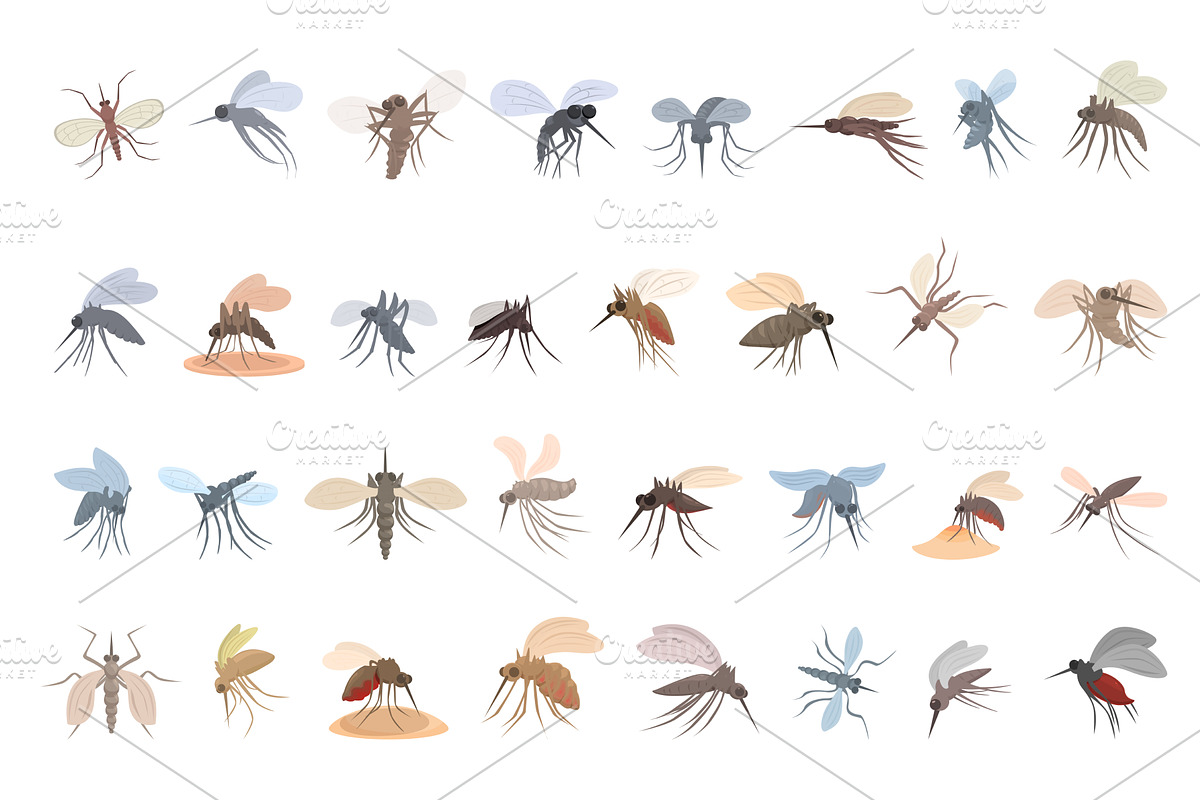Mosquito icons set cartoon vector, an Animal Illustration by Ylivdesign