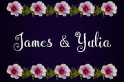 Wedding Font, a Script Font by Royaltype (Thumbnail 4 of 6)