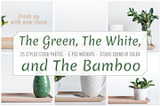The Green, The White and The Bamboo, an Arts & Entertainment Photo by Sound of Color (Thumbnail 5 of 10)