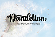 Pathout Script, a Script Font by Graptail (Thumbnail 9 of 9)