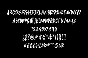 Leriqe Brush Font, a Sans Serif Font by 24Design Studios (Thumbnail 5 of 5)