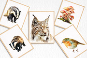 Watercolor Woodland Animals Clipart, an Illustration by DreamArtGraphic (Thumbnail 6 of 8)