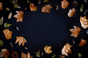 Autumn maple leaves frame, an Abstract Photo by hitdelight