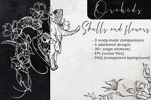 Skulls And Flowers: Orchids