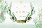 Pine. Watercolor clipart, an Illustration by LABFcreations (Thumbnail 8 of 9)