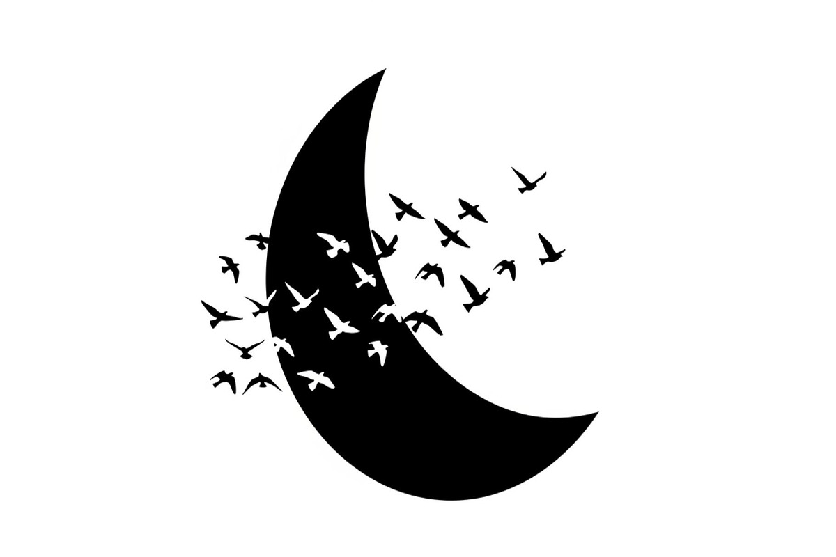 Flying Birds Moon SVG Bundle, an Illustration by yasushie (Photo 17 of 31)