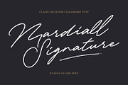 Mardiall Signature Font, a Script Font by Maulana Creative (Thumbnail 1 of 10)