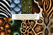 Realistic Animal Skin Textures, a Texture Graphic by karenfoleyphoto (Thumbnail 1 of 7)