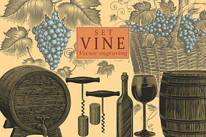 Design set Vine. Vector engraving