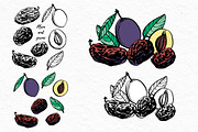 Nuts and snacks, a Food Illustration by Ann Astro (Thumbnail 22 of 24)