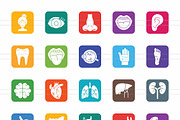 50 Human Anatomy Filled Round Corner, an Icon by IconBunny (Thumbnail 2 of 2)