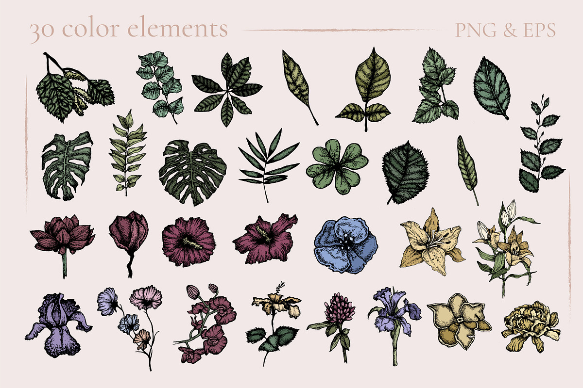 Digital Vintage Flowers, a Decorative Illustration by Onceli*art (Photo 4 of 14)
