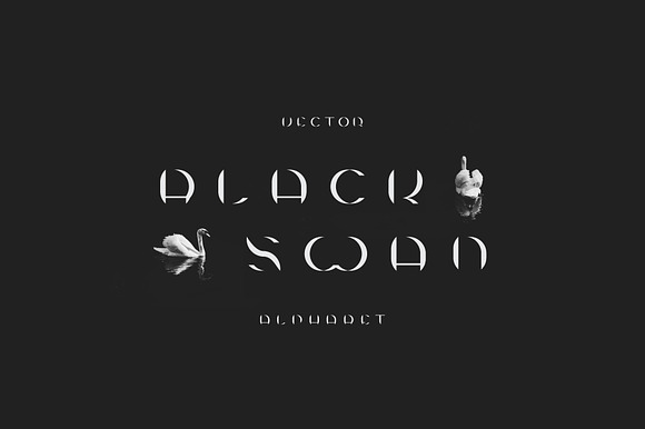 Vector Alphabet. Black Swan preview 6