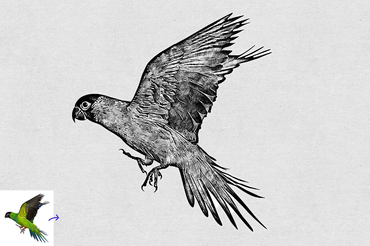 Realistic Drawing & Sketch Effect, an Action Add-On by MRI STUDIO (Photo 18 of 27)