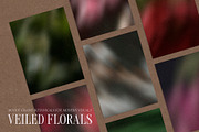 Veiled Florals - Blurry Backgrounds, a Background Graphic by Dina Mae (Thumbnail 8 of 14)