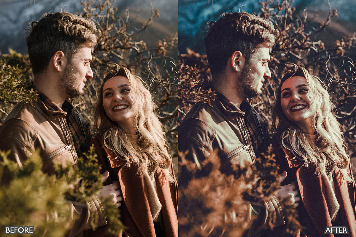 Spring Brown Tone Lightroom Presets, a Preset Add-On by AAA Presets (Photo 6 of 18)