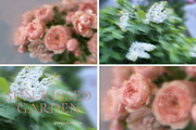 Blurry Flowers Abstract Backgrounds, a Background Graphic by Yuliya Derbisheva (Thumbnail 10 of 15)