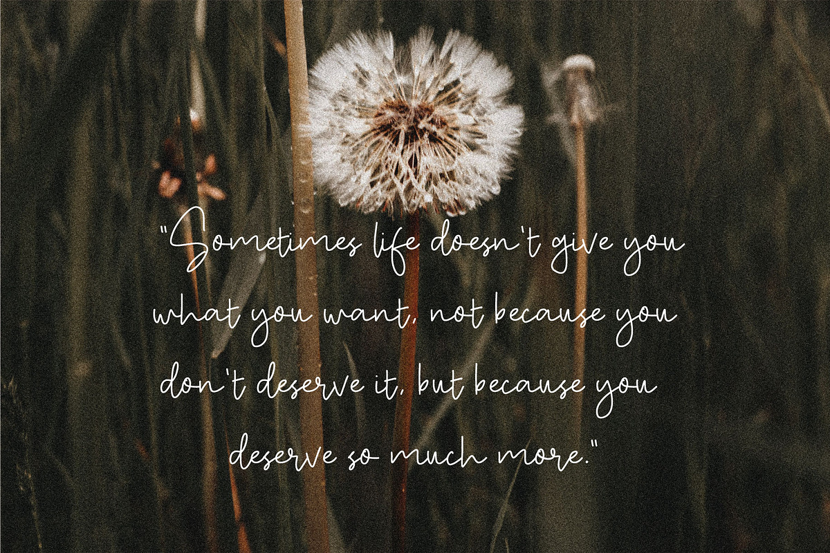 Maurichia, a Script Font by Pustudio (Photo 5 of 9)