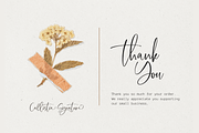 Callistia Signature, a Script Font by Silverdav (Thumbnail 9 of 11)