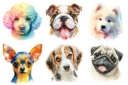 Colorful Baby Dog Face Sublimation, a Graphic by CitraGraphics (Thumbnail 2 of 4)