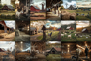 50 Farm Life Stock Photos, an Animal Photo by Incomelion (Thumbnail 6 of 9)