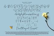 Walnut Candy, a Script Font by Nathatype (Thumbnail 8 of 10)