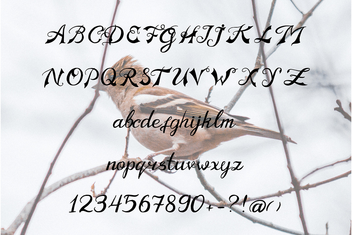Old Motorcycle handwritten font preview 3