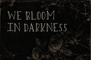 Tall Tale - Handwritten Font, a Handwritten Font by Aurum Creative (Thumbnail 3 of 7)